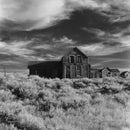 Film Photography Project Dracula 64 Black and White Negative Film (120 Roll Film)