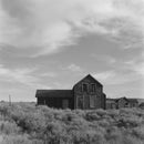 Film Photography Project Dracula 64 Black and White Negative Film (120 Roll Film)