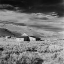 Film Photography Project Dracula 64 Black and White Negative Film (120 Roll Film)