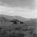 Film Photography Project Dracula 64 Black and White Negative Film (120 Roll Film)