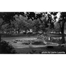 Film Photography Project Jekyll/Hyde 100 Black and White Negative Film (35mm, 24 Exposures)