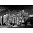 Film Photography Project Infrared Black and White Negative Film (35mm, 24 Exposures)