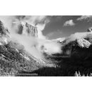 Film Photography Project Infrared Black and White Negative Film (35mm, 24 Exposures)