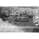 Film Photography Project Infrared Black and White Negative Film (35mm, 24 Exposures)