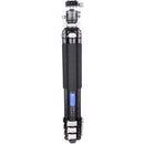 ARTCISE NS50CF Carbon Fiber Travel Tripod with Low-Profile Ball Head
