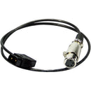 ikan P-Tap to 4-Pin XLR Power Cable (19")