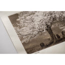 Awagami Factory Kozo Thin Fine Art Inkjet Paper (Natural, 10 Sheets)