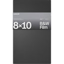 Polaroid Black & White 8x10 Film (10 Sheets)
