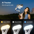 Insta360 Flow 2 AI Tracker Bundle (Stone Gray)