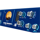 API AUDIO T25 2-Channel Tube Compressor/Limiter
