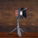 Harlowe Extendable Desktop Tripod (22")