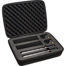 sE Electronics sE6160 Supercardioid/Lobar Shotgun Condenser Microphone (Matched Pair)