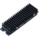 iodyne 4TB SSD Spare Module