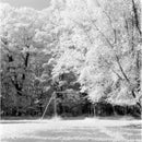 Flic Film IR Filter (55mm, 720nm)