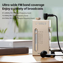 FiiO RR11 Hi-Res Portable Stereo Radio (Black)