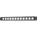 Auray RPPM12-1U Rack Panel for 12 Panel-Mount Connectors (1 RU)