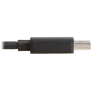 Tripp Lite 2x1 Bidirectional UHD 4K DisplayPort Switch