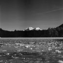Flic Film Red Filter (52mm)