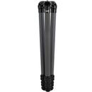 TALESPULL Venture Series Carbon Fiber Tripod with Ball Head (Hidden Gray)