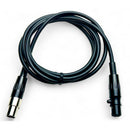 Evno Microphone Systems SXP2-TA4 Double Microphone System for Soprano Saxophone (TA4 Cable)