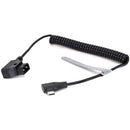 DigitalFoto Solution Limited Coiled USB-C to D-Tap Power Cable for DJI Focus Pro/SDR & Tilta Nucleus N2