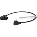 DigitalFoto Solution Limited USB-C to D-Tap Power Cable for Focus Pro, SDR & Tilta Nucleus N2