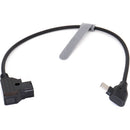 DigitalFoto Solution Limited USB-C to D-Tap Power Cable for Focus Pro, SDR & Tilta Nucleus N2