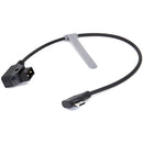 DigitalFoto Solution Limited USB-C to D-Tap Power Cable for Focus Pro, SDR & Tilta Nucleus N2