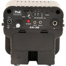 Anchor Audio AN-30U2BT Powered Speaker Monitor with Wireless Mic Receiver and Bluetooth