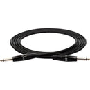 Hosa Technology REAN 1/4" Pro Guitar Cable - 10'