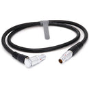 DigitalFoto Solution Limited AR214 Right-Angle to Straight 16-Pin RED Monitor Power Cable (2.6')