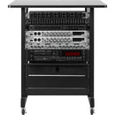 Gator Wood Rack Cabinet (14 RU, Black)