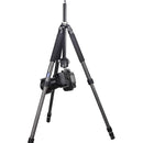 INNOREL GT254C Carbon Fiber Travel Tripod with N36 Ball Head