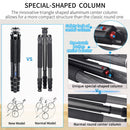 INNOREL GT254C Carbon Fiber Travel Tripod with N36 Ball Head