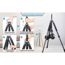 INNOREL GT254C Carbon Fiber Travel Tripod with N36 Ball Head