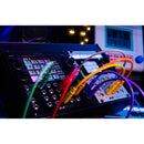 1010music bitbox mk2 Intuitive Sampling Module for Eurorack (26 HP, Black)