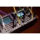 1010music Bitbox Micro Compact Sampling Module for Eurorack (18 HP, Silver)