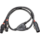 Blizzard powerCON TRUE1 Male to Dual Female Y-Cable (3')
