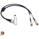 DigitalFoto Solution Limited RED KOMODO Timecode & Genlock Cable for UltraSync ONE (12", Right Angle)