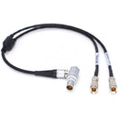 DigitalFoto Solution Limited RED KOMODO Timecode & Genlock Cable for UltraSync ONE (12", Right Angle)