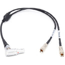 DigitalFoto Solution Limited RED KOMODO Timecode & Genlock Cable for UltraSync ONE (12", Right Angle)