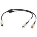 DigitalFoto Solution Limited RED KOMODO Timecode & Genlock Cable for UltraSync ONE (12")