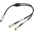 DigitalFoto Solution Limited RED KOMODO Timecode & Genlock Cable for UltraSync ONE (12")