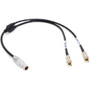 DigitalFoto Solution Limited RED KOMODO Timecode & Genlock Cable for UltraSync ONE (24")
