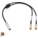 DigitalFoto Solution Limited RED KOMODO Timecode & Genlock Cable for UltraSync ONE (24")