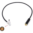 DigitalFoto Solution Limited RED KOMODO-X 00B 5-Pin to 3.5mm TRS Female Audio Cable (7.9", Right-Angle)