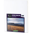Labo Argentique Crystal Archival Matte RA-4 Paper (4 x 5", 50-Sheets)