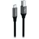 Tera Grand USB-C to USB-B 2.0 Cable (10')