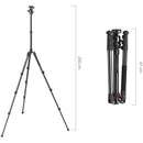 SmallRig 5630 Aluminum Alloy Pro Photo Tripod with Ball Head