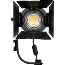 ikan Stryder Bi-Color LED Fresnel Light (3-Light Kit)